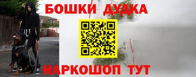 кокс Дубна