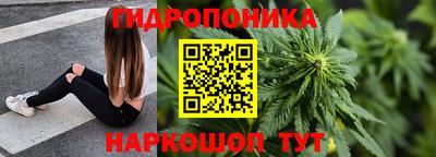 прущие грибы Донецк