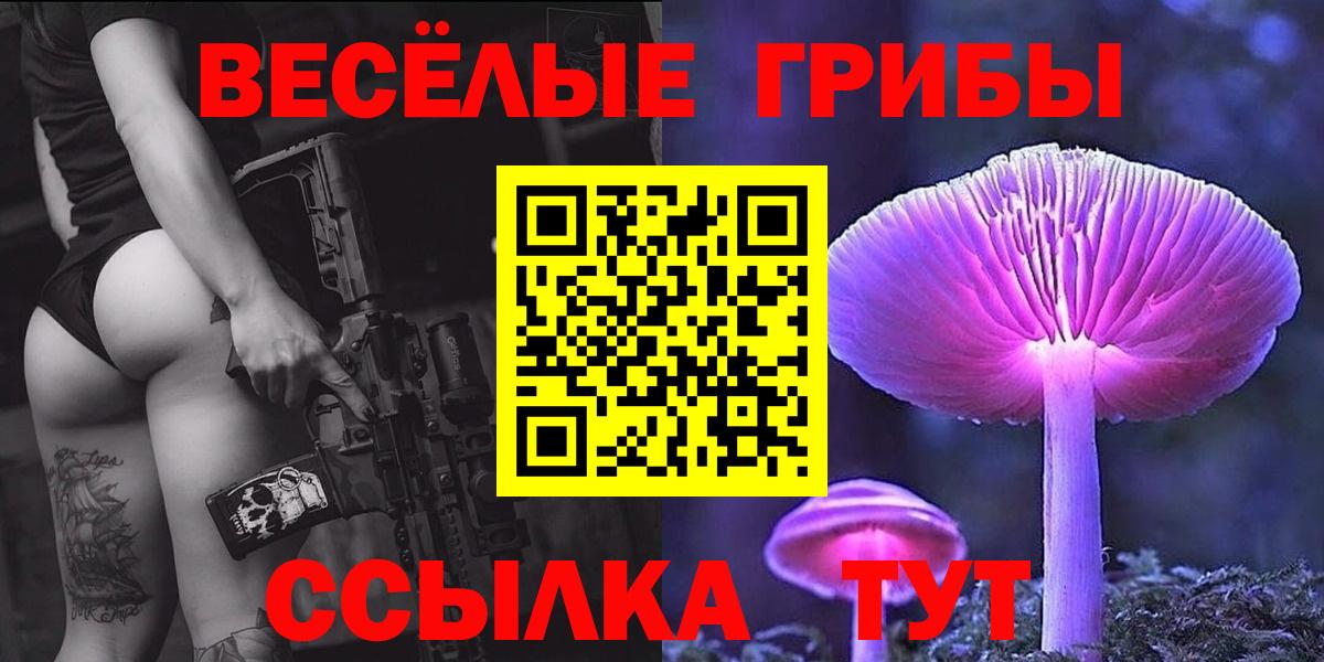Псилоцибиновые грибы Cubensis Магнитогорск