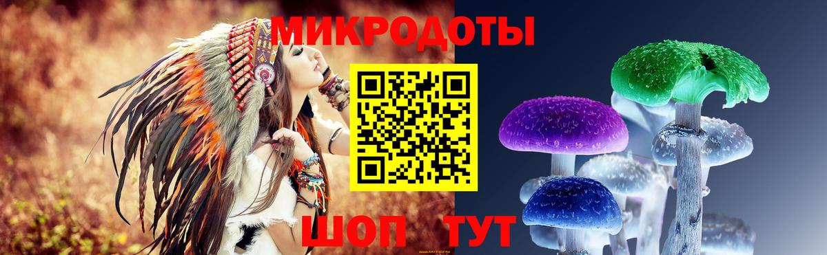 Галлюциногенные грибы Psilocybine cubensis  Вход с VPN  Магнитогорск 